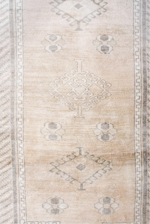 Antique Anatol Area Rug (3' x 6')